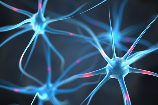 NeuralDrive au service du système nerveux