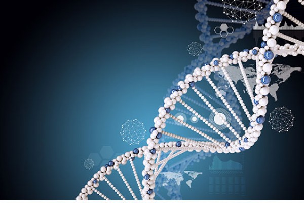 Comment DNA Script facilite la synthèse de l’ADN avec son imprimante