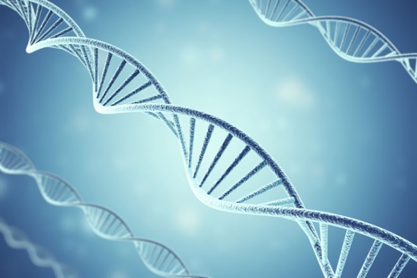 "Les 'ciseaux à ADN'​ auront un impact énorme dans de nombreux domaines"​