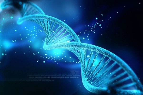 Édition génomique : un nouvel outil basé sur CRISPR permet d'insérer de grandes séquences d'ADN dans les cellules