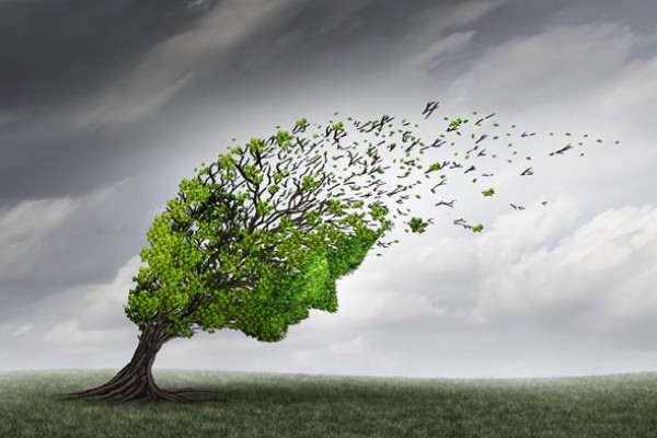 Alzheimer, Parkinson, cancer… l’IA annonce l’ère de l’autodépistage