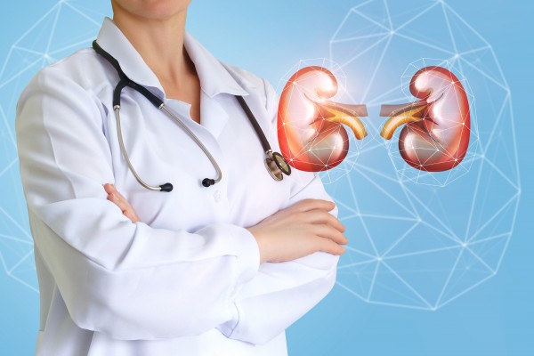 Big science and big data in nephrology