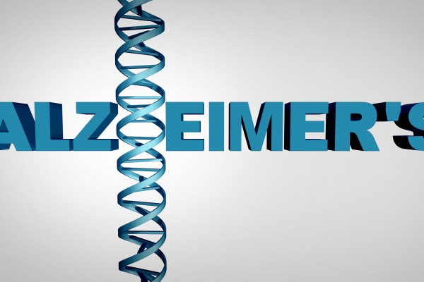Un jeu vidéo pour aider la recherche sur Alzheimer