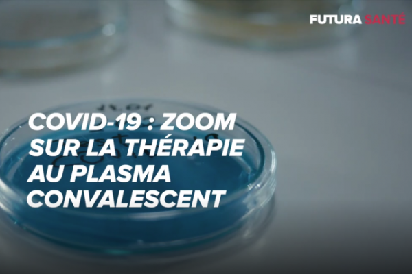 Covid-19 : que sait-on sur la thérapie au plasma ?