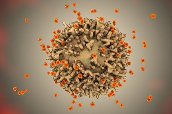 Coronavirus : l'immunité pourrait finalement durer « des années