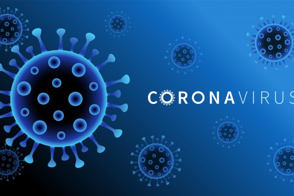 Une « nanoéponge » pour contrer le coronavirus