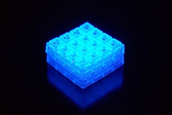 Inspirés des Lego, ces cubes imprimés en 3D favorisent la régénération osseuse
