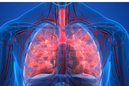 Santé connectée, télémédecine et télésoin ~ L'efficacité de la télémédecine dans la surveillance des patients atteints de maladies broncho-pulmonaires obstructives chroniques en Chine
