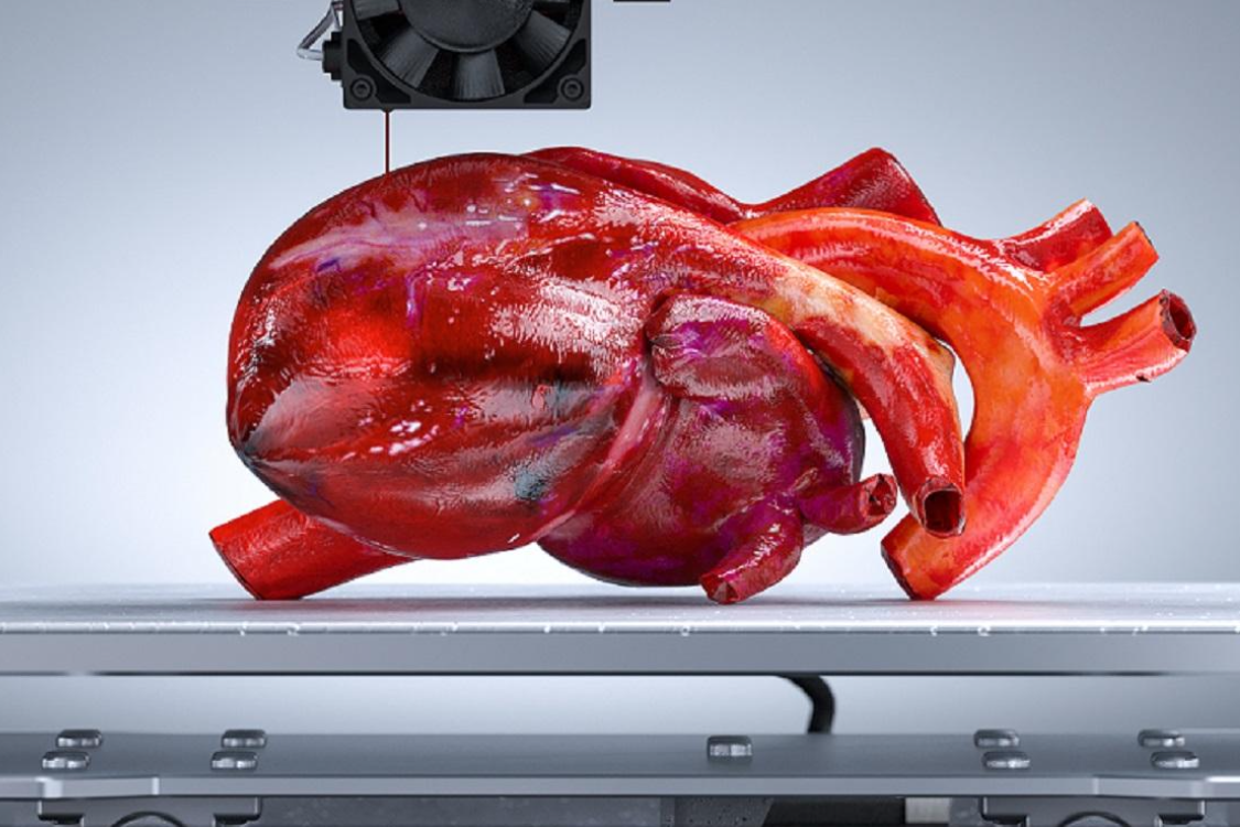 Researchers Devise Rapid 3D Printing Method for Human Organs