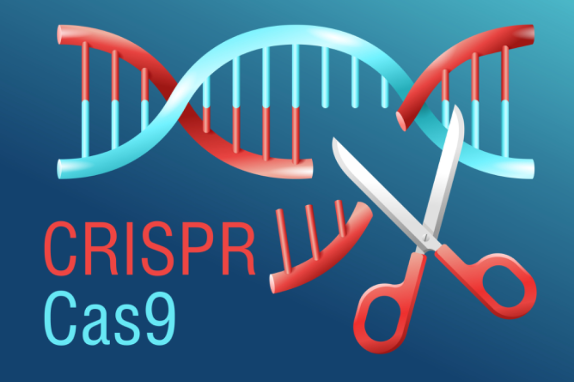 CRISPR injected into the blood treats a genetic disease for first time