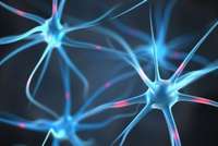 NeuralDrive au service du système nerveux