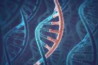 A DNA language model based on multispecies alignment predicts the effects of genome-wide variants
