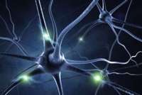 Des synapses électroniques capables d'apprendre : vers un cerveau artificiel ?