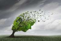 Alzheimer, Parkinson, cancer… l’IA annonce l’ère de l’autodépistage