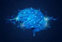Les neurotechnologies sous l’œil de la nouvelle loi de bioéthique