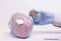 Comment l'implant cérébral de Clinatec permet de commander un exosquelette par la pensée