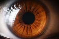 Un patient britannique reçoit le premier œil imprimé en 3D