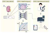 Artificial Intelligence-Assisted Renal Pathology: Advances and Prospects