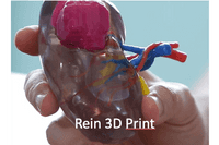 Rein 3D Print