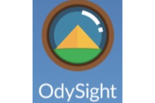 Odysight